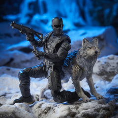 Hasbro G.I. Joe Classified Snake Eyes & Timber figure posing with included gear.