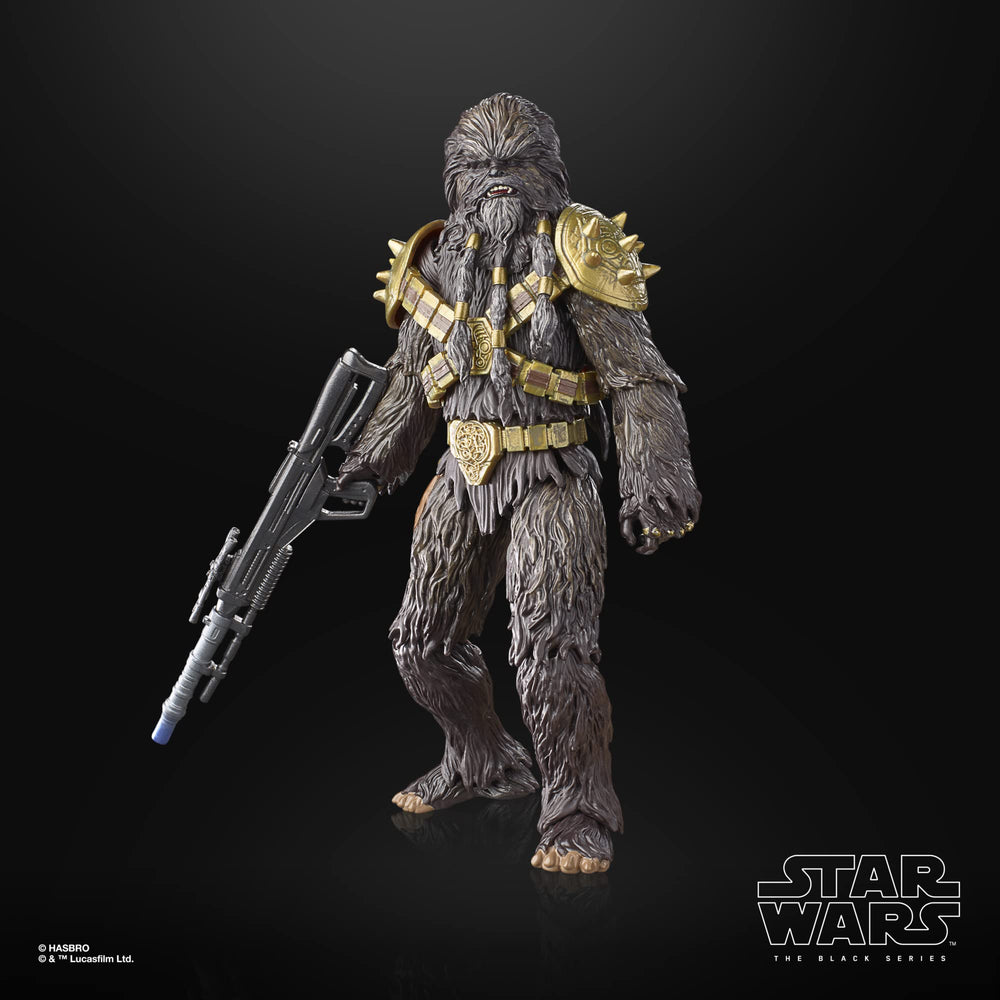 Hasbro Star Wars Black Series figure complements a growing collection.