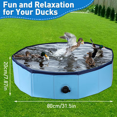 Hdnbsp multi-purpose pool suitable as duck pond, dog pool, or cat bath.