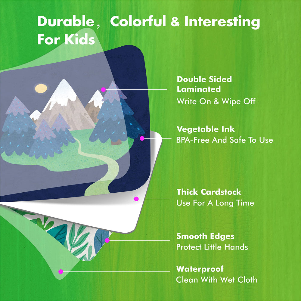 Hebayy camping illustrations teach gear and nature concepts.