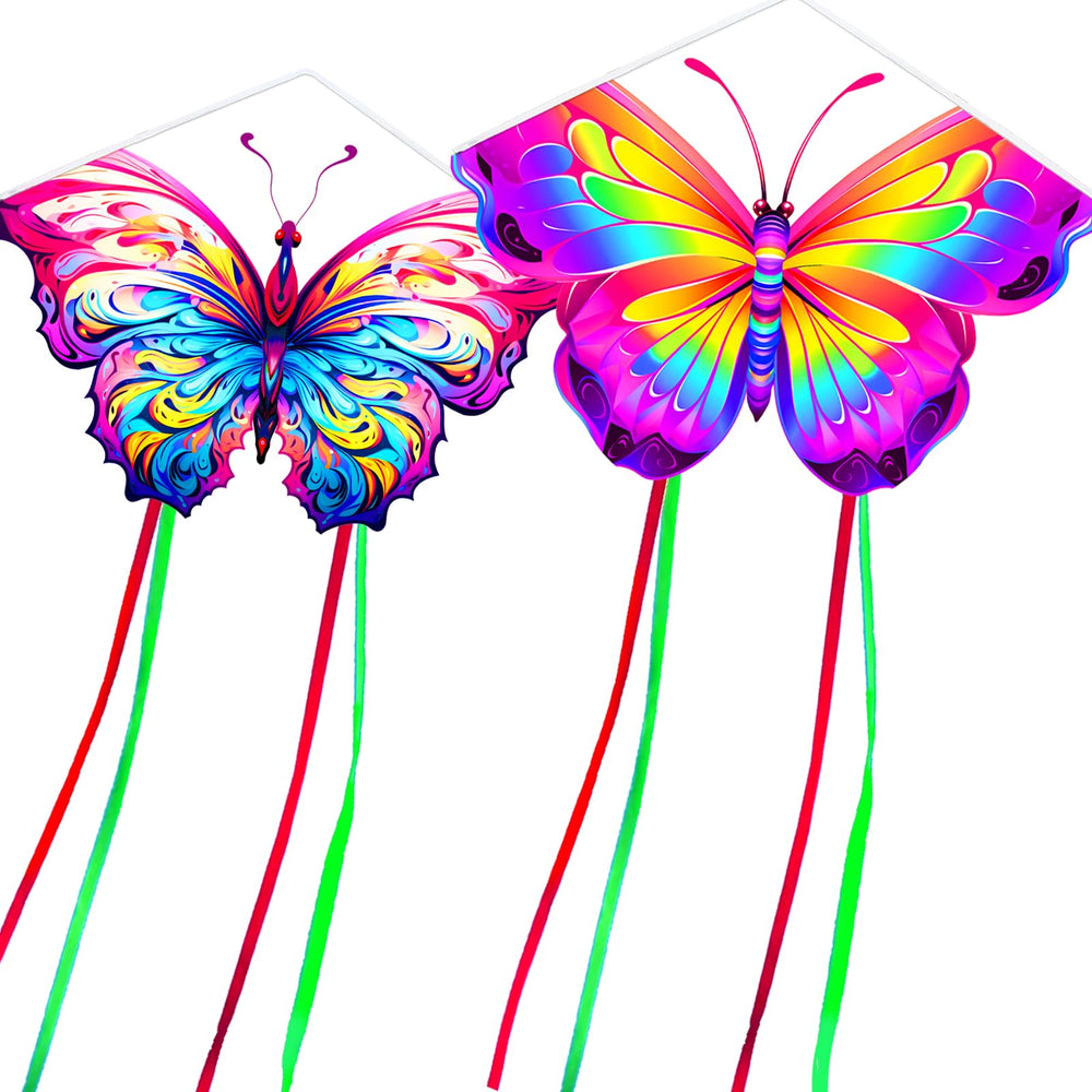 HENGDA KITE butterfly kite 2-pack, easy setup for family fun.