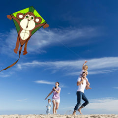 HENGDA KITE monkey kite folded, compact carry bag ready.