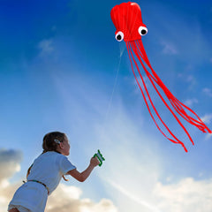 HENGDA KITE Octopus Flyer wind-ready for quick beach play