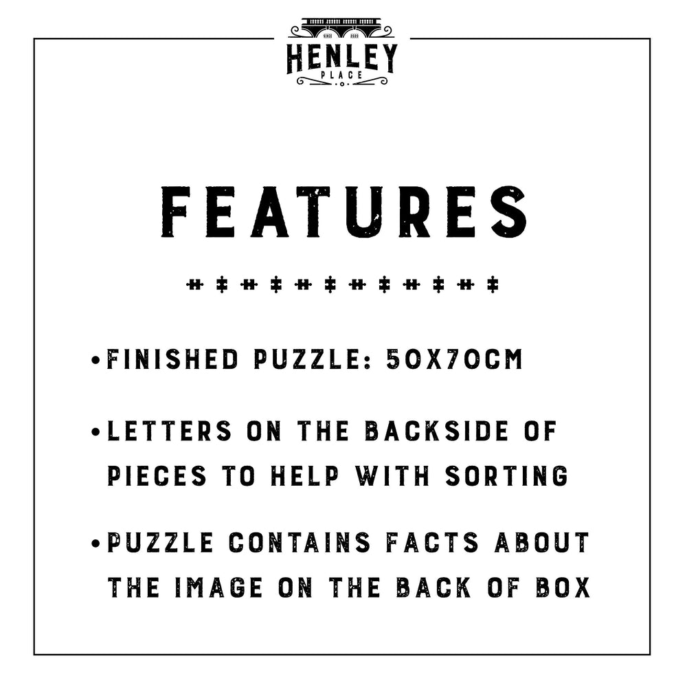 Henley Place Space Puzzle wall display, ready after completion