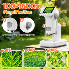 HEWEIMEI 2-inch HD display for crystal-clear observation of tiny specimens.