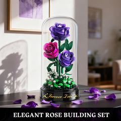 HiWEEGO display doubles as artful decor on coffee tables or mantels