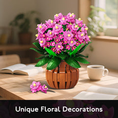 HOGOKIDS Kalanchoe bonsai full bloom display ready for gifting or home decor