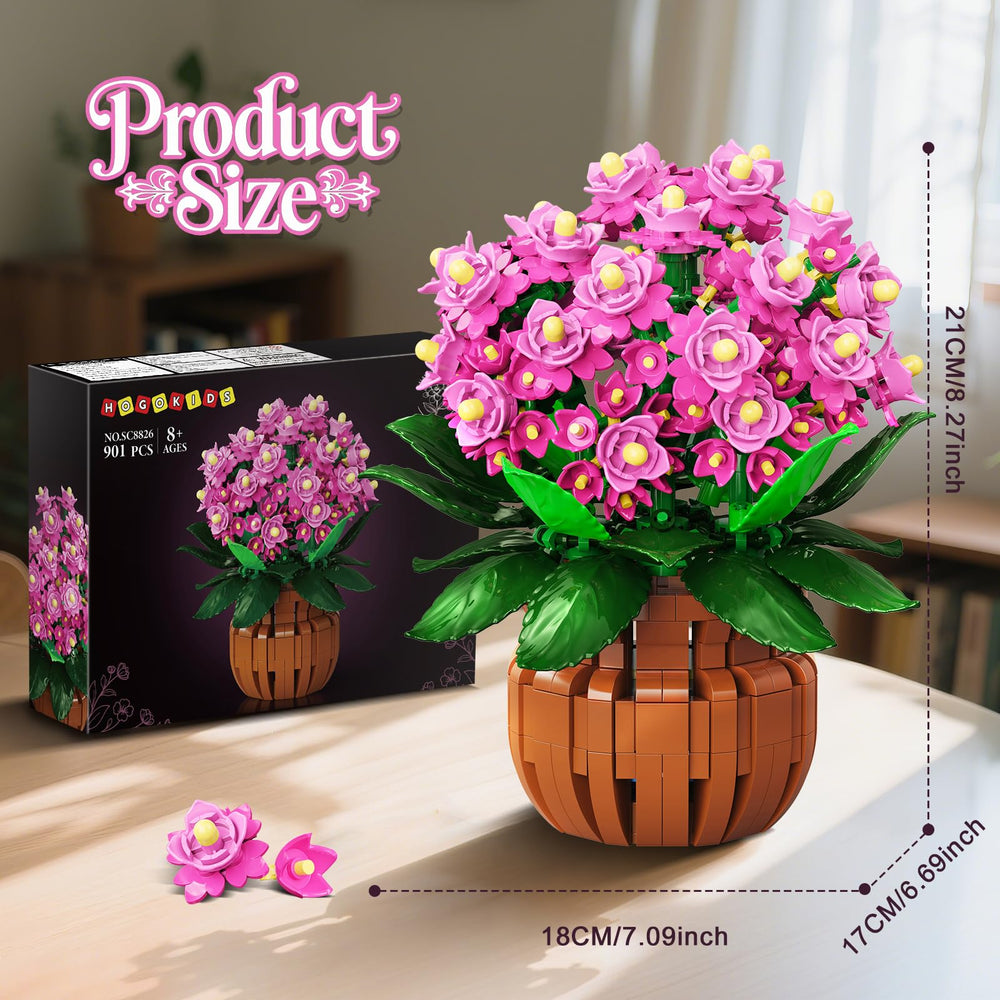HOGOKIDS Kalanchoe bonsai in a decorative pot elevates living space