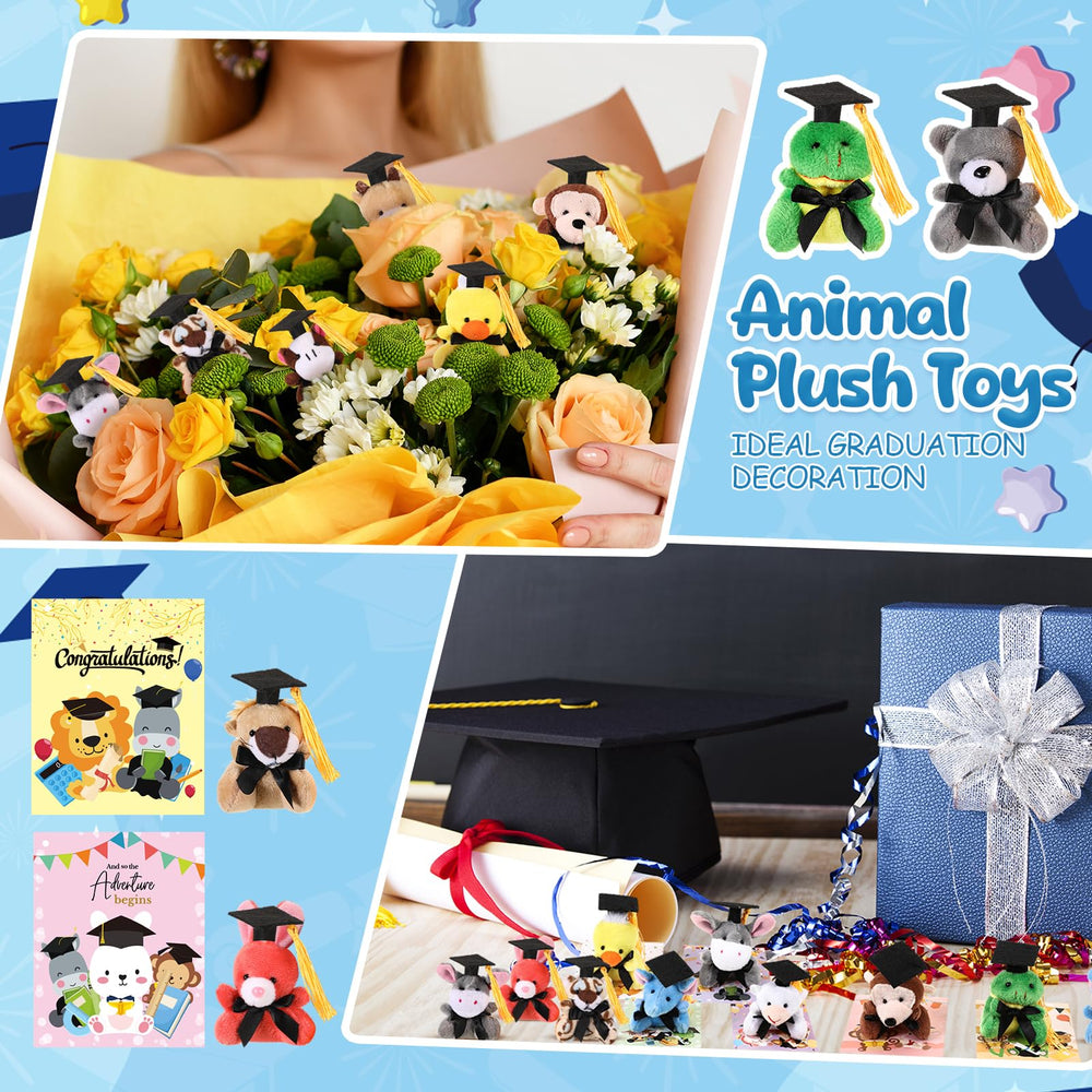 Hollowfly 30-pack graduation gifts with cards for celebrations