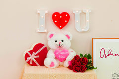 HollyHOME I Love You blush LED bear, adds a sweet nightly message