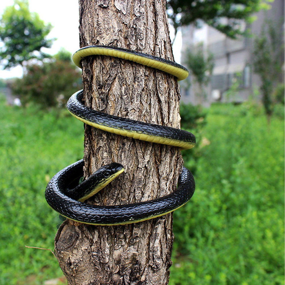 Homdipoo durable rubber construction withstands indoor and outdoor use