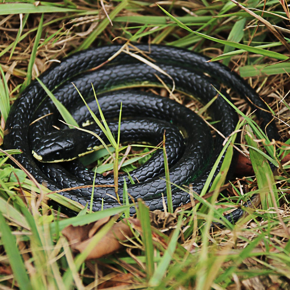 Homdipoo lifelike snake adds playful suspense to parties