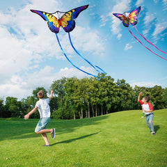 HONBO Butterfly kite quick assembly in under a minute for all ages.