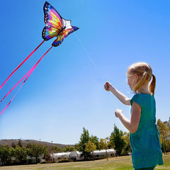 HONBO Butterfly Kite simple assembly suitable for kids and adults