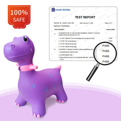HotMax Dinosaur Hopper suitable for indoors and outdoors.