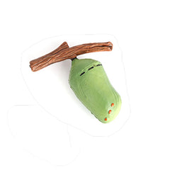 Hvogvok butterfly life cycle education toy promotes interactive science activities.