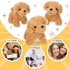 HyDren bedroom and desk decor plush brightens kids’ spaces.