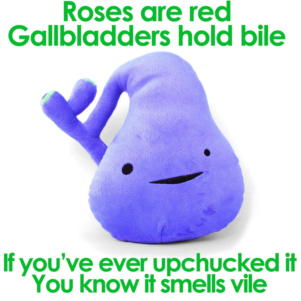 I Heart Guts gallbladder plush makes a thoughtful gift for medical recovery journeys.