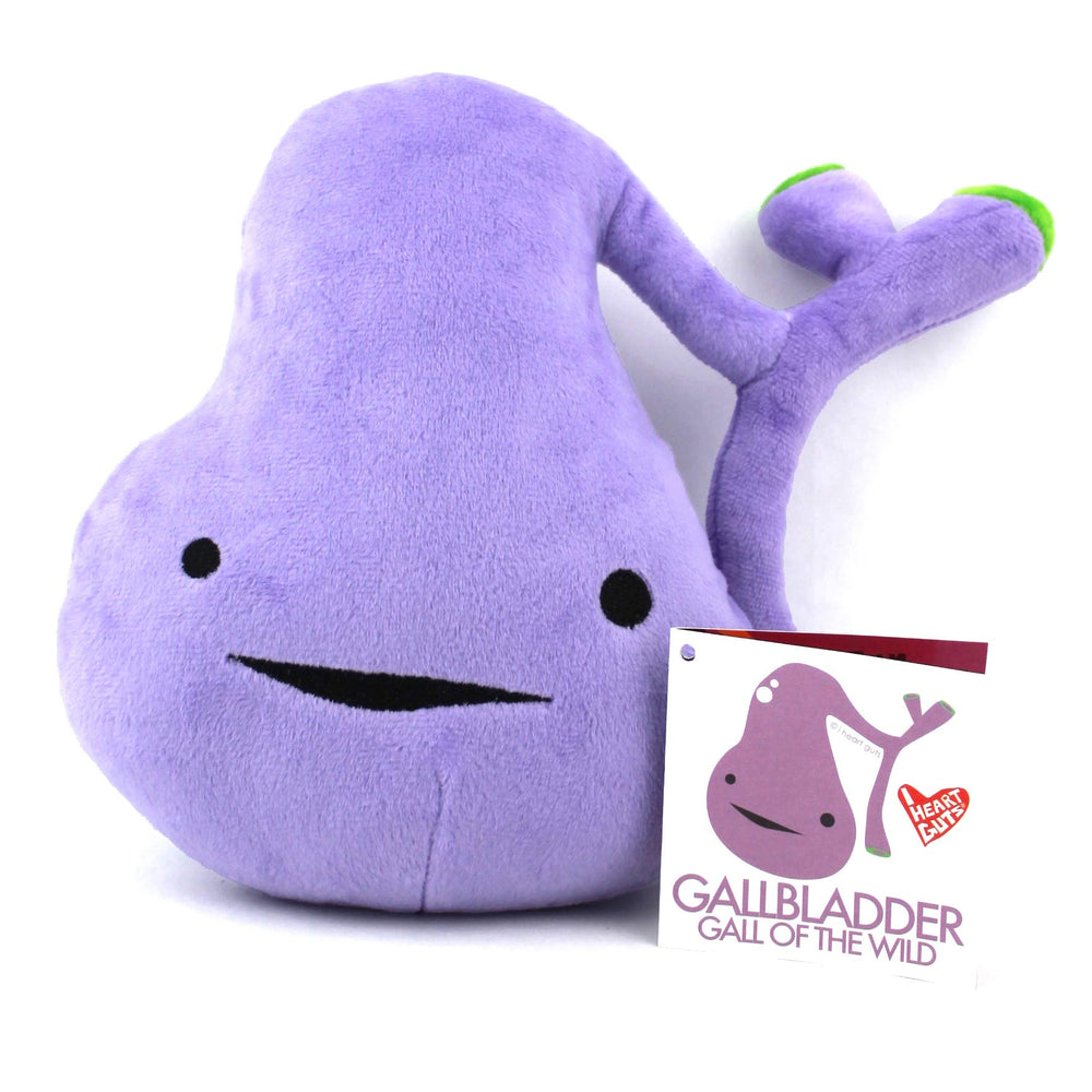 I Heart Guts gallbladder plush in hand shows soft textures ideal for comforting evenings.