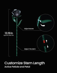 iATOM Black Rose Bouquet adjustable stems fit various vase heights.