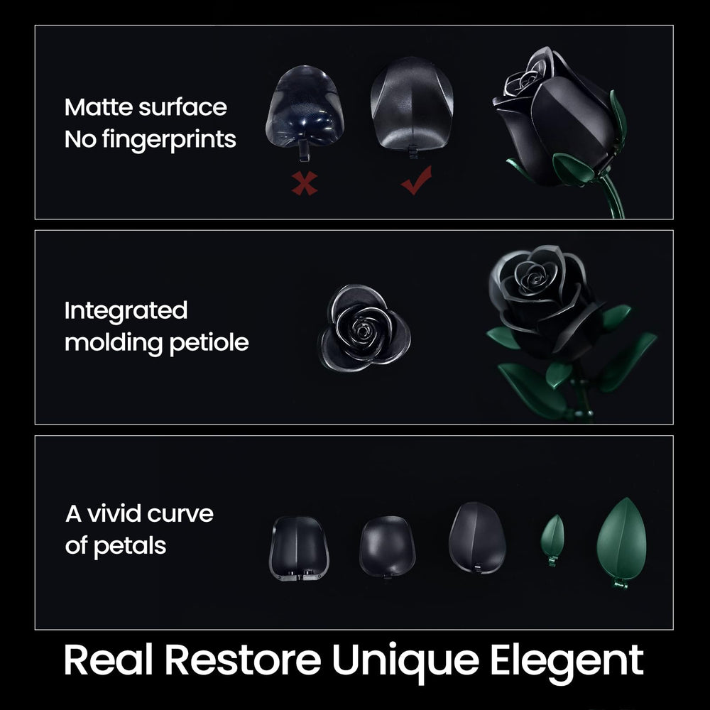 iATOM Black Roses full bloom showcases timeless elegance on shelves