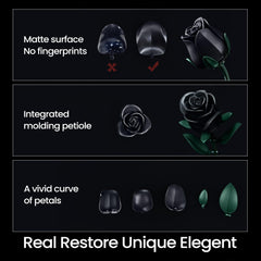 iATOM Black Roses full bloom showcases timeless elegance on shelves