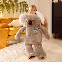 IKASA oversized koala packaged for gifting, ready for celebrations.