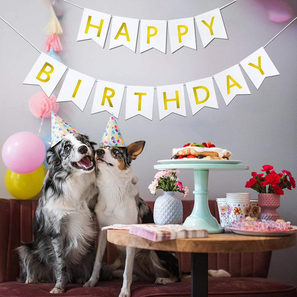 Imtively wall backdrop adds color to indoor or outdoor celebration spaces.