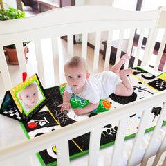 Inbeby educational themes introduce animals, foods, and vehicles playfully.
