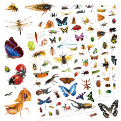 Insect Animals Stickers 840-count collection for crafts, scrapbooks, and gifts.