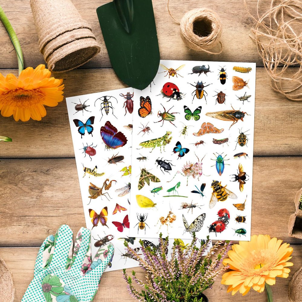 Insect Animals Stickers dragonflies versatile for crafts and journals.
