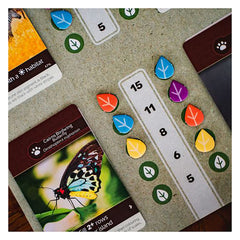 Inside Up Games Earth tile-placement illustrating landscape expansion and bonuses.