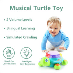 iPlay iLearn musical turtle ABC and numbers buttons for learning through play