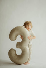 IWERP Cream Number 3 balloon photo backdrop for memories
