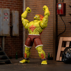 Display-ready packaging makes a great gift for Street Fighter fans