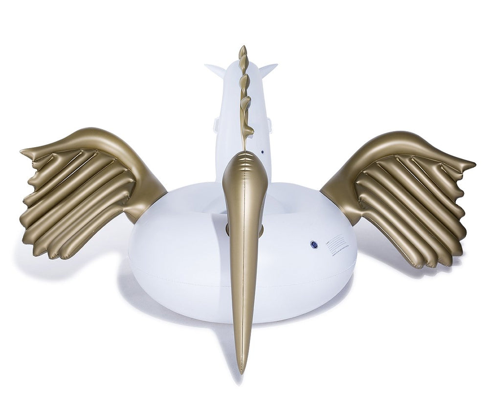Jasonwell Pegasus float features fast valves for quick setup and deflation