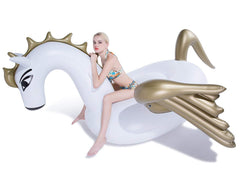 Jasonwell Pegasus float supports two adults for pool relaxation