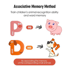 JCREN Bright color animal magnets—engage visual recognition during playtime.