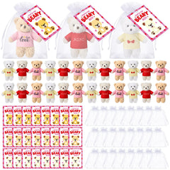 Jenaai mini teddy bear wearing a heart-sweater, a sweet Valentine option.