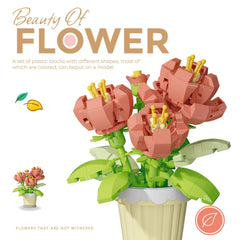 Jollcnoia bonsai flower blocks displayed on a shelf creating tranquil artistry.