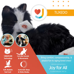 Joy For All Companion Cat tuxedo calm moment aiding relaxing routines.