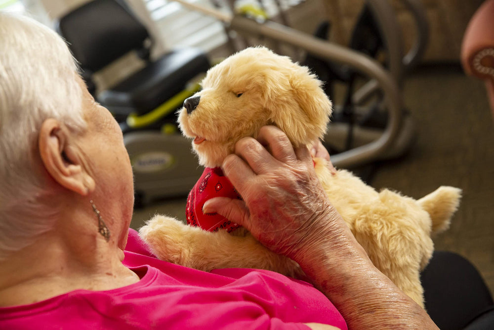 Joy For All Golden Pup care settings suit home and care environments.