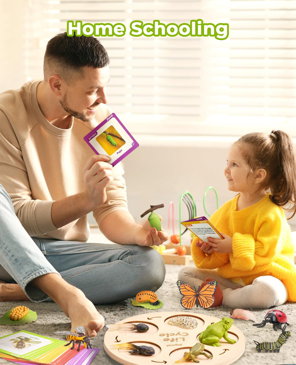 JoyCat wooden life cycle board offers a sturdy visual guide for caregivers.