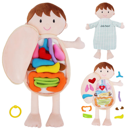 June Garden Little Patient Lucas heart β interactive anatomy learning for toddlers.