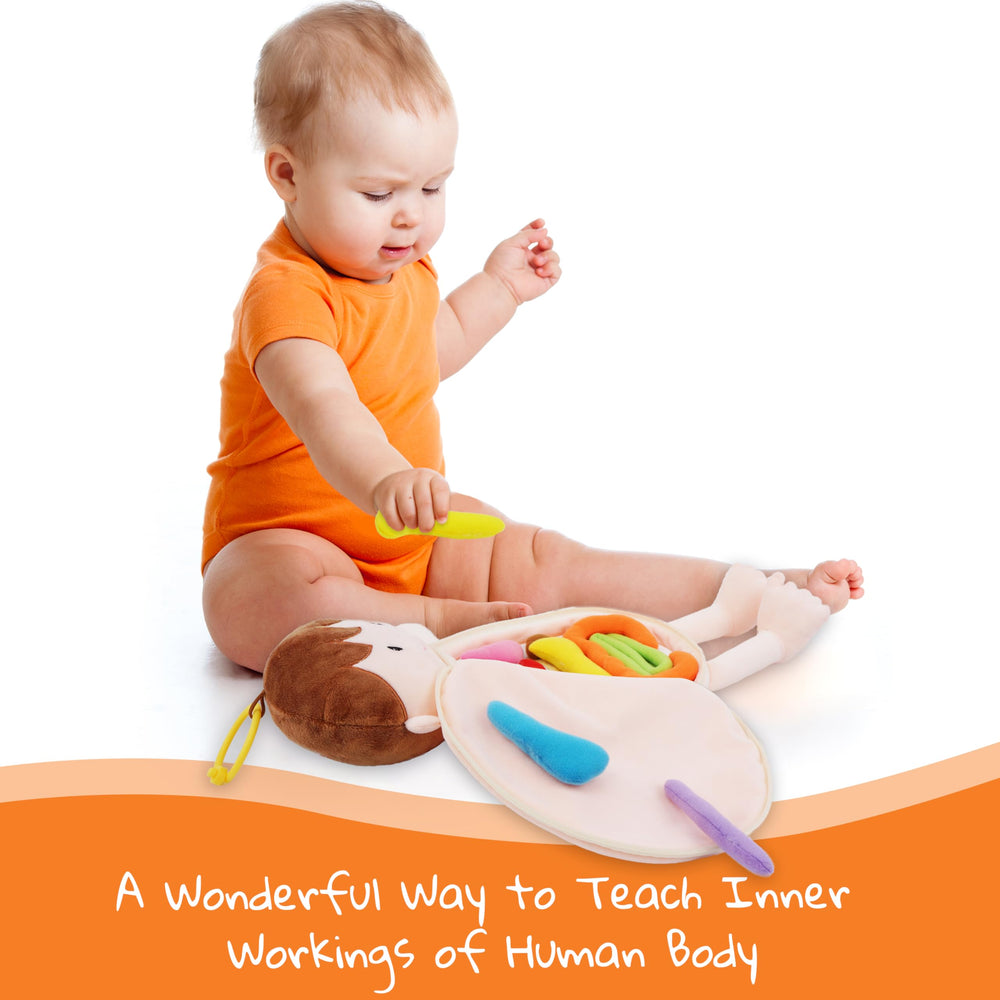 June Garden Little Patient Lucas trachea — interactive airway toy for sensory learning.