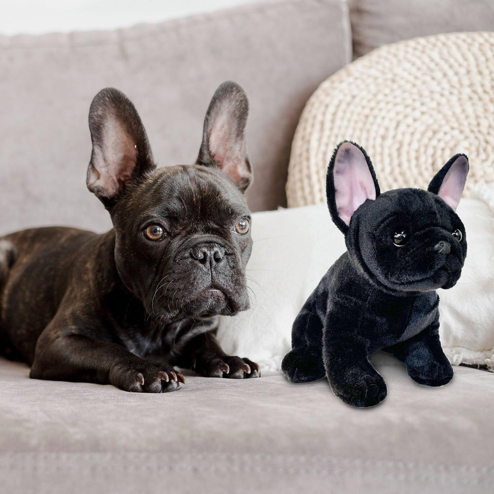 JUSTQUNSEEN pet-safe materials plush, CPSC-tested for peace of mind.