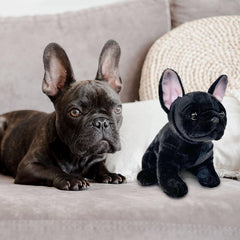 JUSTQUNSEEN pet-safe materials plush, CPSC-tested for peace of mind.