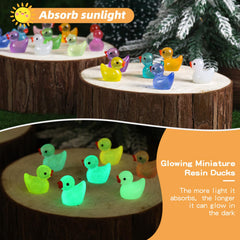 JWAJWY garden path accent ducks for charming evening lighting