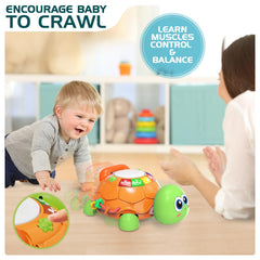 Jyusmile turtle toy buttons pressed to trigger motion, lights, and music.