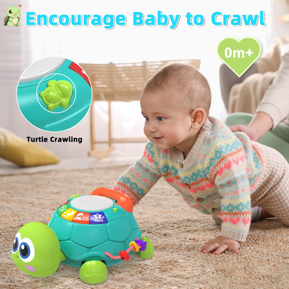 KaeoHye turtle toy provides early learning through music and sounds.